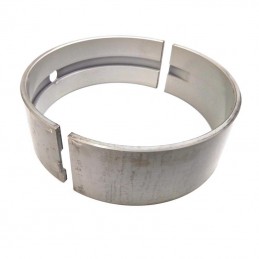 Panewka główna std